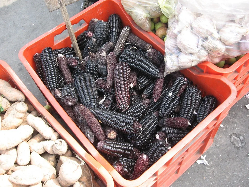 Chicha Morada
