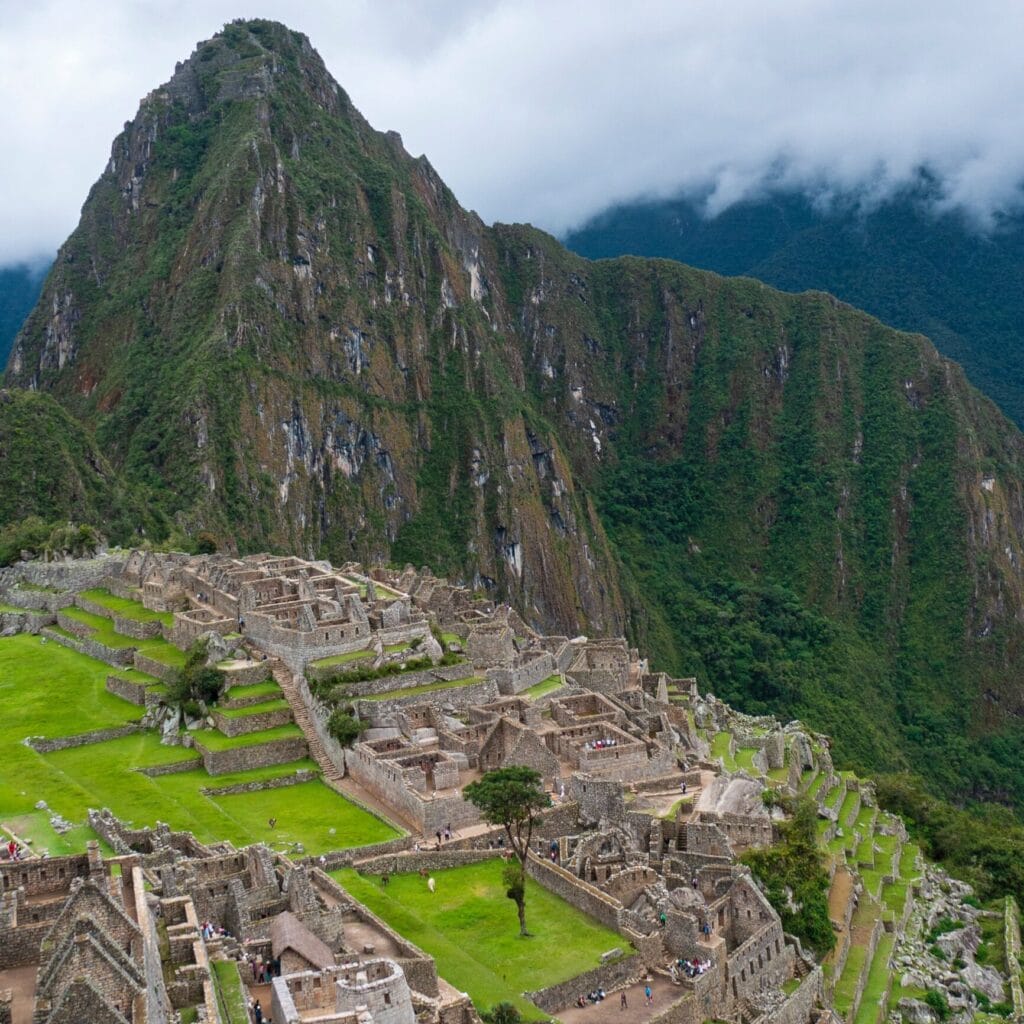 Machu Picchu Cocktail