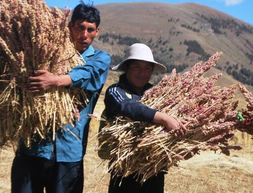 La Ricetta Peruviana della Quinoa con Mele e Ananas